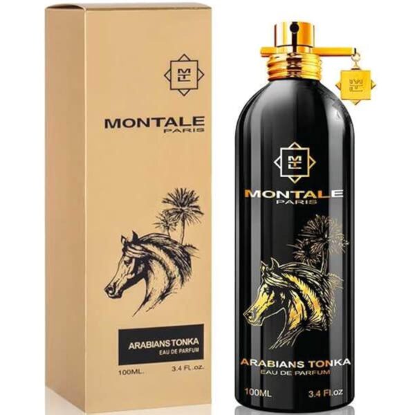 Montale Arabians Tonka – Bild 2